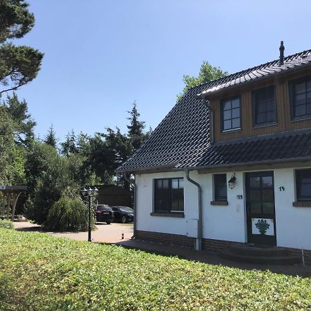 Haus Hugo Zingst Apartment Exterior photo